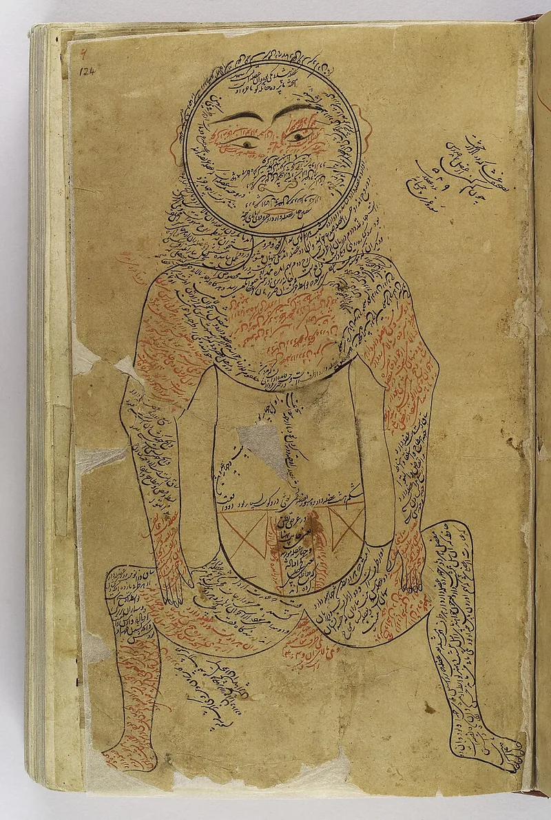 İbn Sînâ (Avicenna) Kimdir? Tıbbın Öncüsü